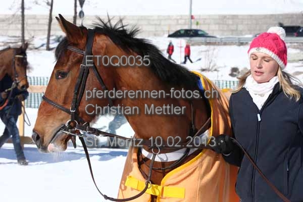 ET0Q0035 prot